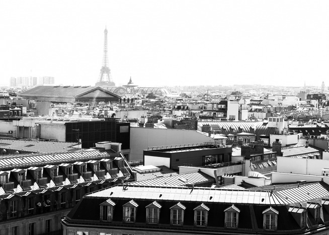 - Beautiful black and white panoramic shot of Paris with the Eiffel Tower in the background.