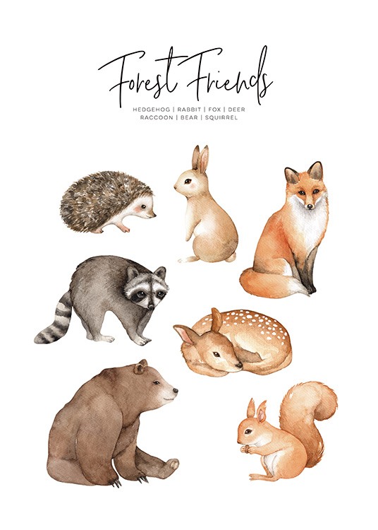  - Lovely children’s poster with drawings of various woodland animals such as the hedgehog, fox, hare and squirrel.