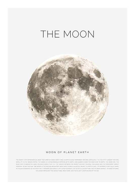 The Moon Poster / Kids wall art at Desenio AB (11441)