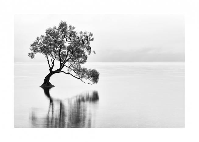 Lonely Wanaka Tree Poster / Nature prints at Desenio AB (11487)