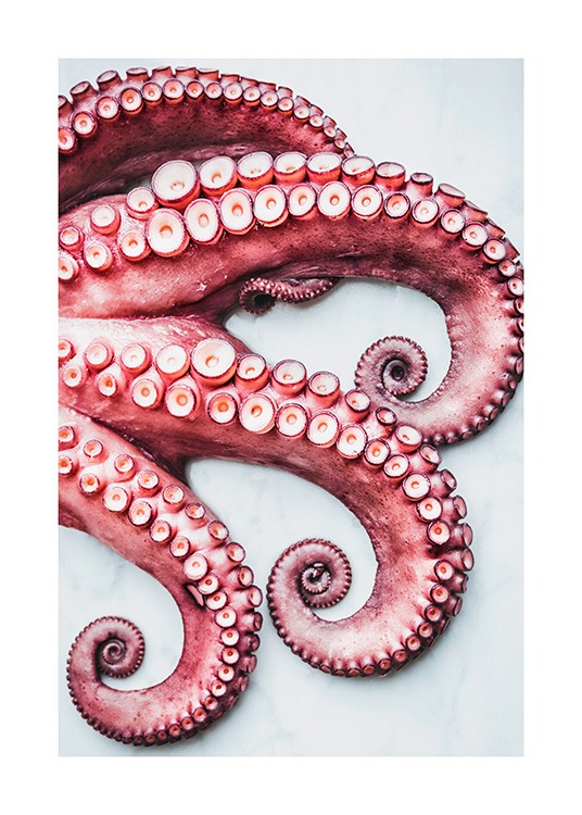 Octopus Arms Poster / Kitchen at Desenio AB (11519)