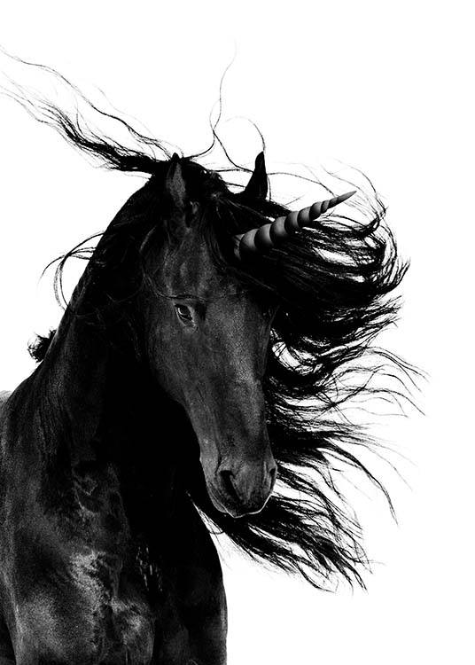 –Unicorn in black on a white background. 