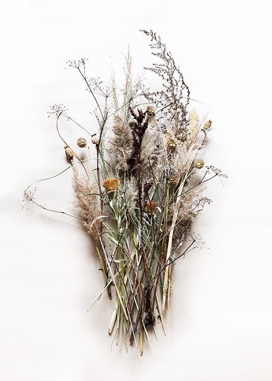 –Photograph of a dried bouquet on a light background. 