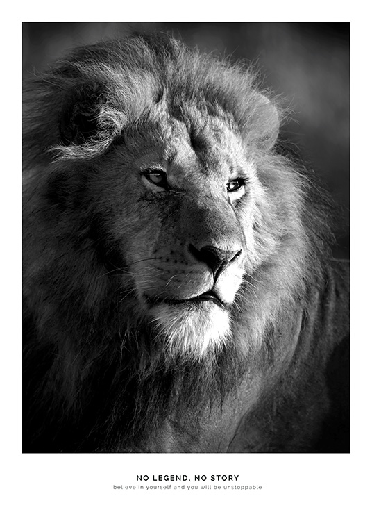 Lion Legend Poster / Animals at Desenio AB (11855)