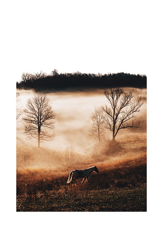 Horse in Landscape Poster / Photographs at Desenio AB (11862)