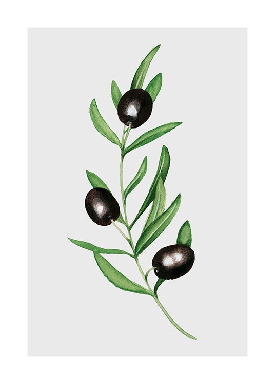 Olives Poster / Kitchen at Desenio AB (11960)