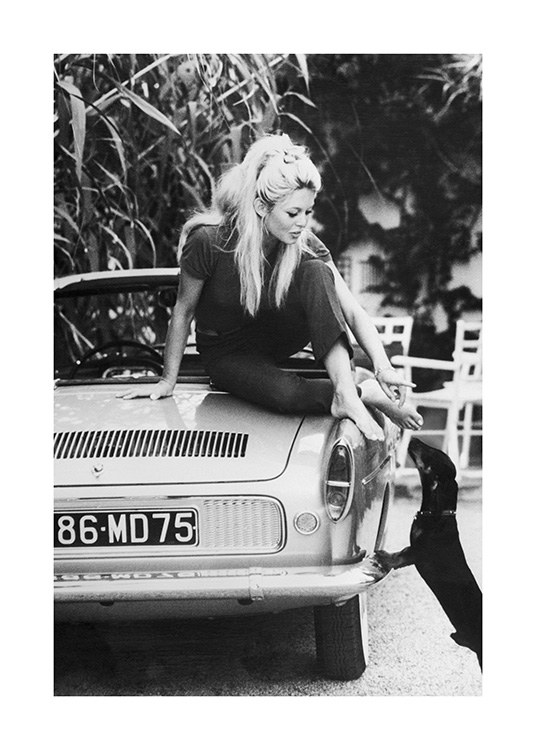 Birgitte Bardot Poster