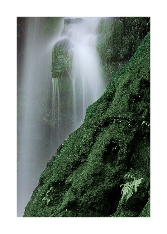 Waterfall in Forest Poster / Nature prints at Desenio AB (12080)