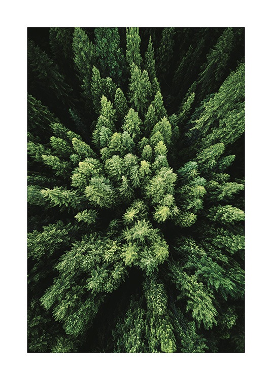 Aerial Forest Poster / Nature prints at Desenio AB (12083)