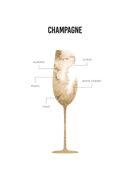 Champagne Anatomy Poster / Kitchen at Desenio AB (12118)
