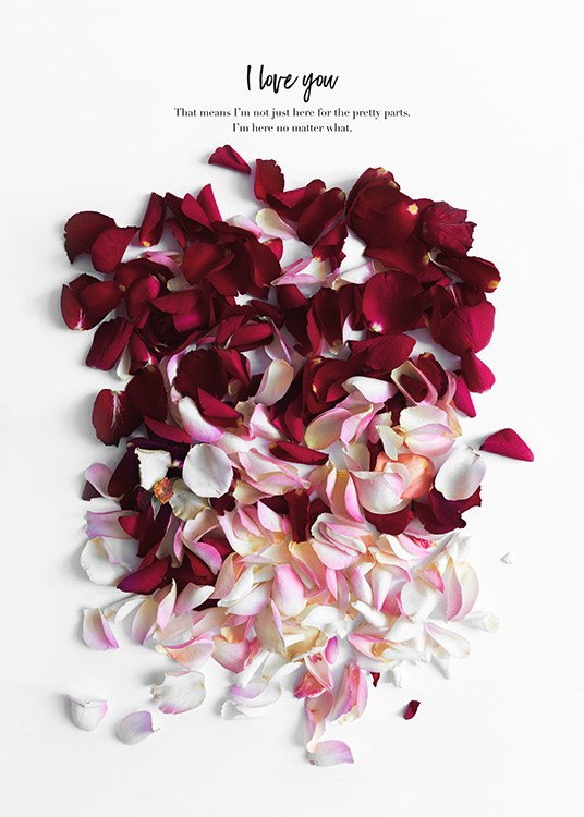 Rose Petals Poster / Art prints at Desenio AB (12144)
