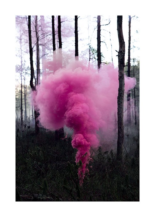 Pink Forest Poster / 50x70 cm | 19 ⅝ x 27 ½ in at Desenio AB (12175)