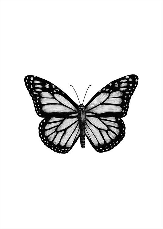 Butterfly Drawing Poster / Black & white at Desenio AB (12307)