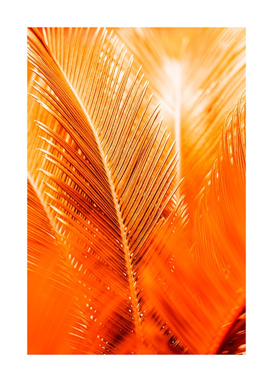 Orange and Gold Palm Poster / Botanical at Desenio AB (12403)