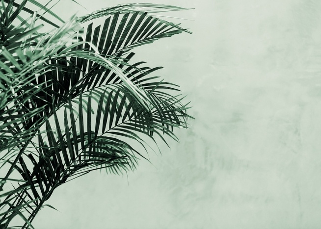 Palm Tree Wall Poster / Botanical at Desenio AB (12412)