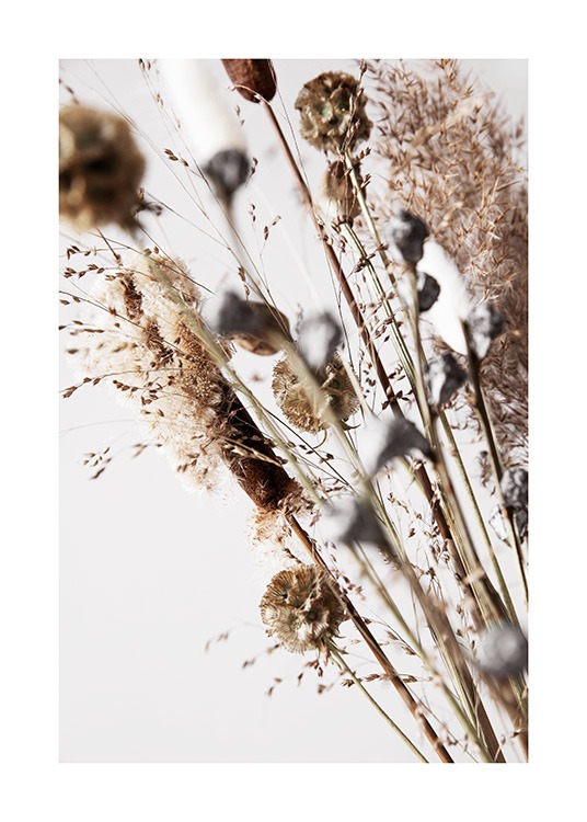 Dry Reeds No2 Poster / Photographs at Desenio AB (12420)