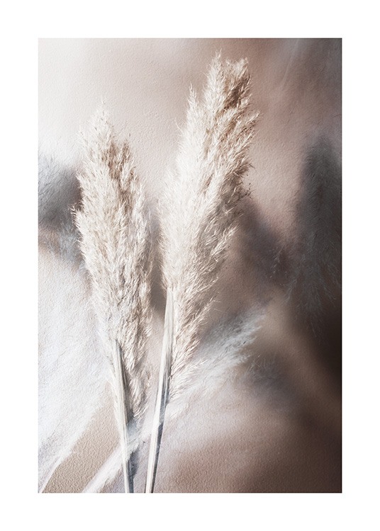 – Photograph of pampas grass in beige on a brown background