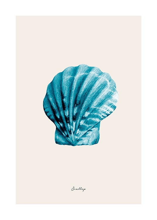 Blue Scallop Poster / Nature prints at Desenio AB (12427)