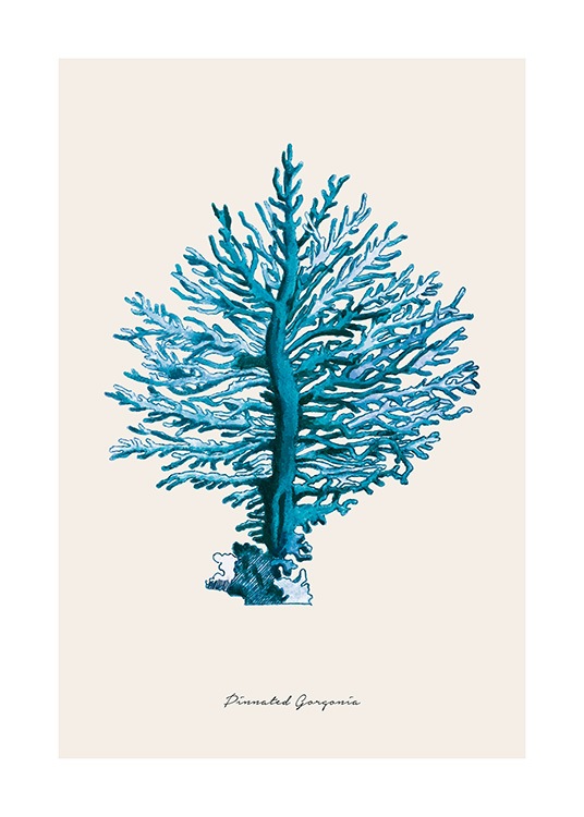 Blue Pinnated Gorgonia Poster / Nature prints at Desenio AB (12430)