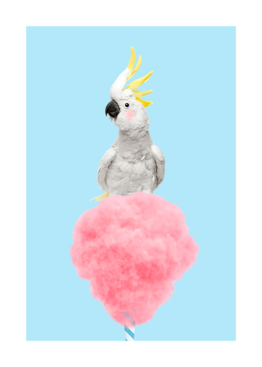 Cotton Candy Cockatoo Poster / Birds at Desenio AB (12478)