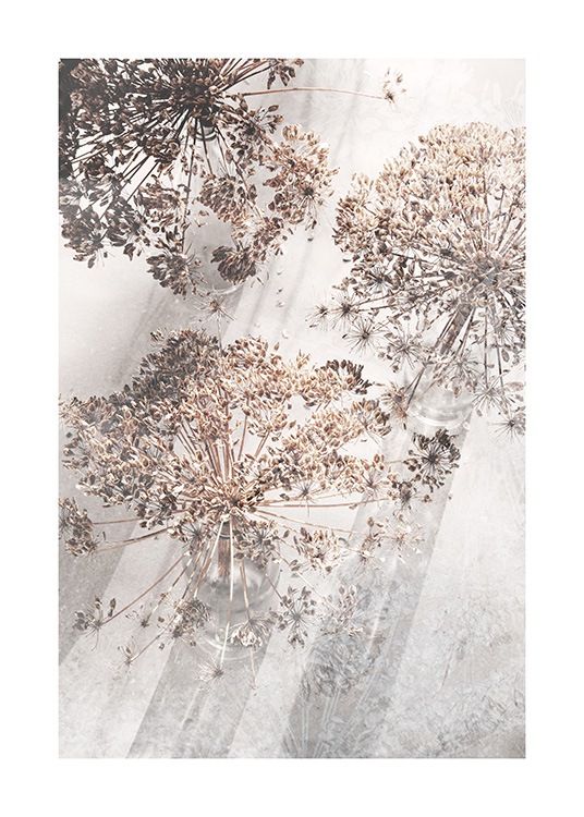 Dried Giant Hogweed No3 Poster / Photographs at Desenio AB (12665)