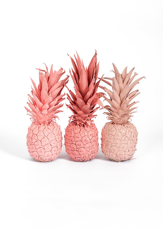 Pink Pineapples Poster