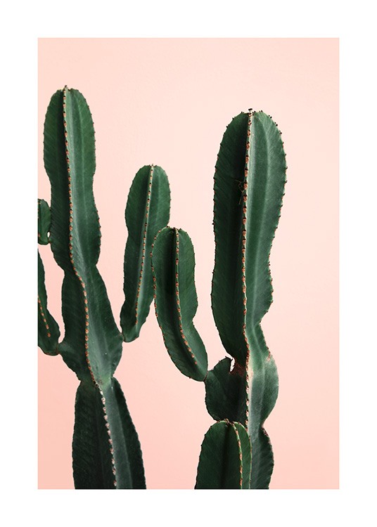 Cactus Twins Poster / Photographs at Desenio AB (12749)