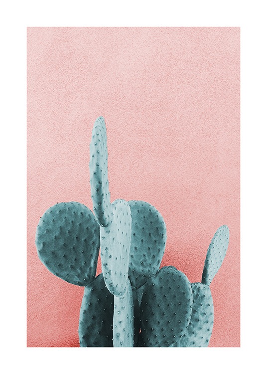 Nature design with a photo of a blue-green cactus against pink wall