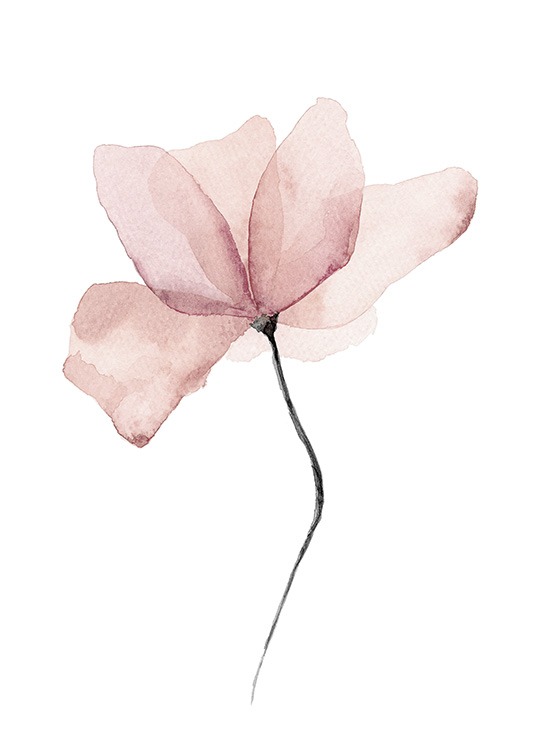  – Watercolour painting of a pink flower on a white background