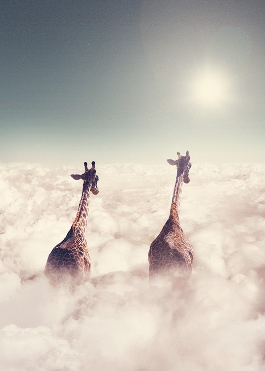 Two giraffes standing in the clouds
