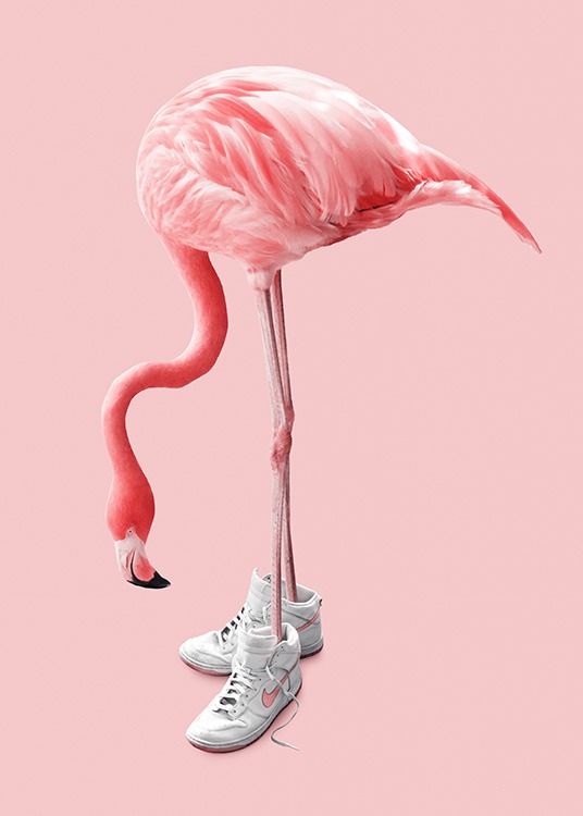 Pink poster of a pink flamingo in white sneakers