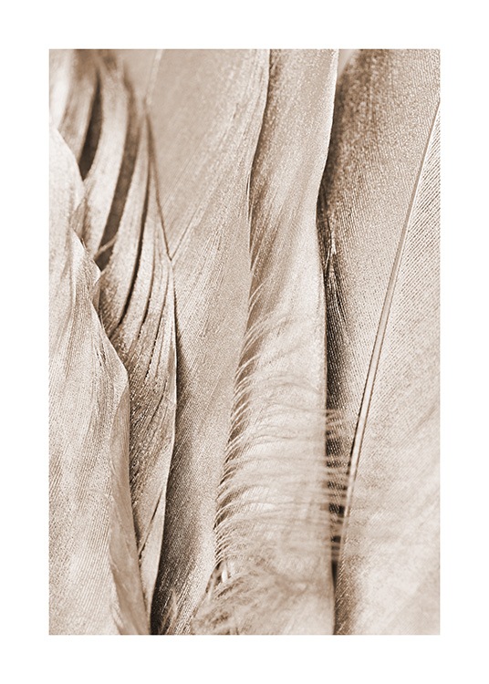 Detailed close up photograph with beige shimmering feathers