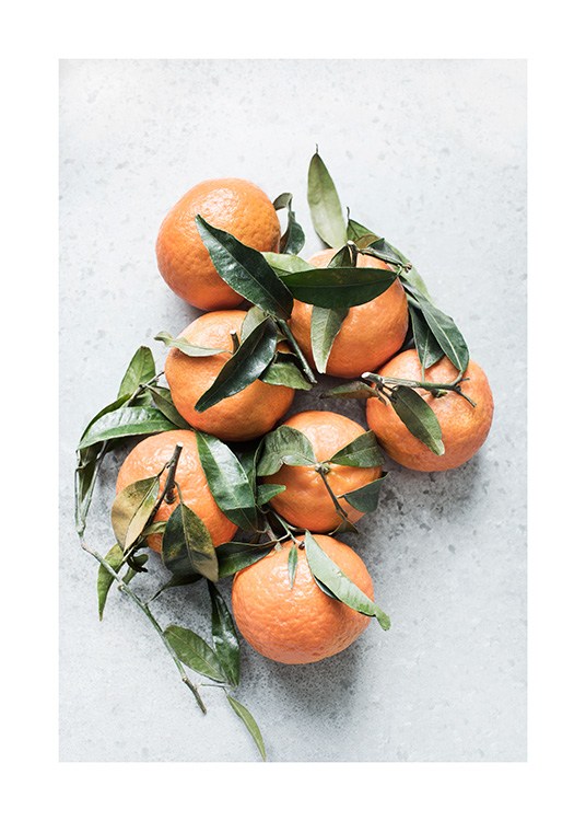 Photograph with tangerines and green leaves with stone grey background