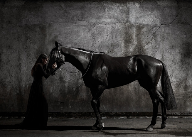  - Photograph of a black horse and a woman in black, holding their heads against each other