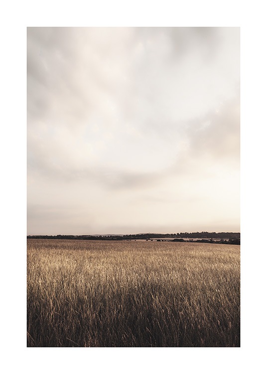  - Photograph of cloudy sky behind a field with crops