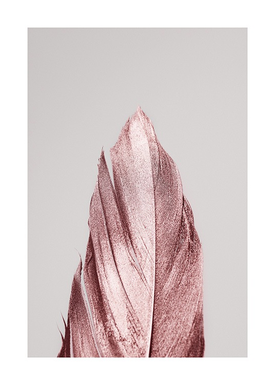  - Photograph with a feather covered in pink glitter on a grey background