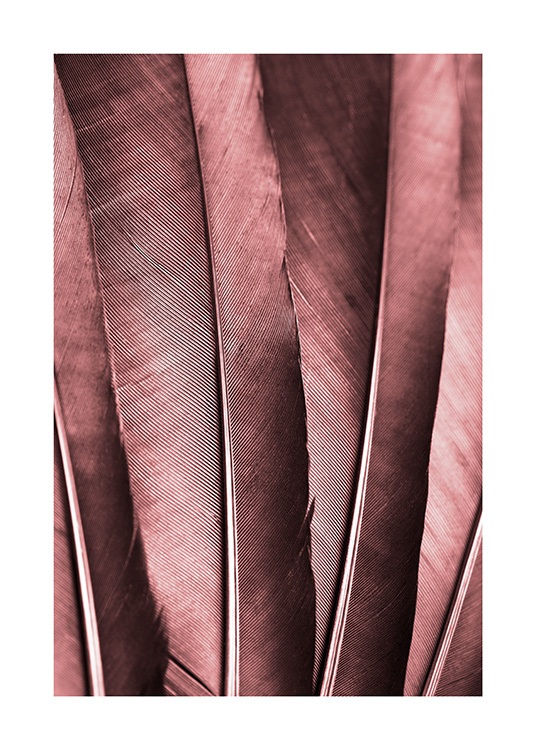 Burgundy Feathers Poster Dark red feathers desenio.co.uk