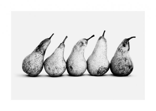  - Black and white photograph of five pears in a row