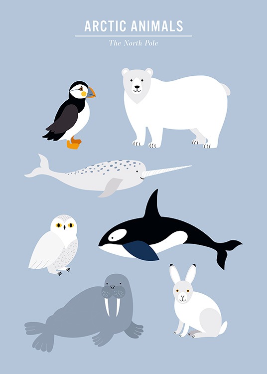  - Kids poster with a graphical illustration in blue and with arctic animals