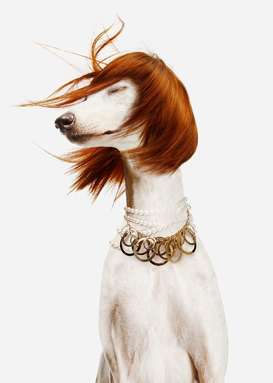  - Photograph of a white dog in a red wig, with a large pearl and gold necklace against a light background