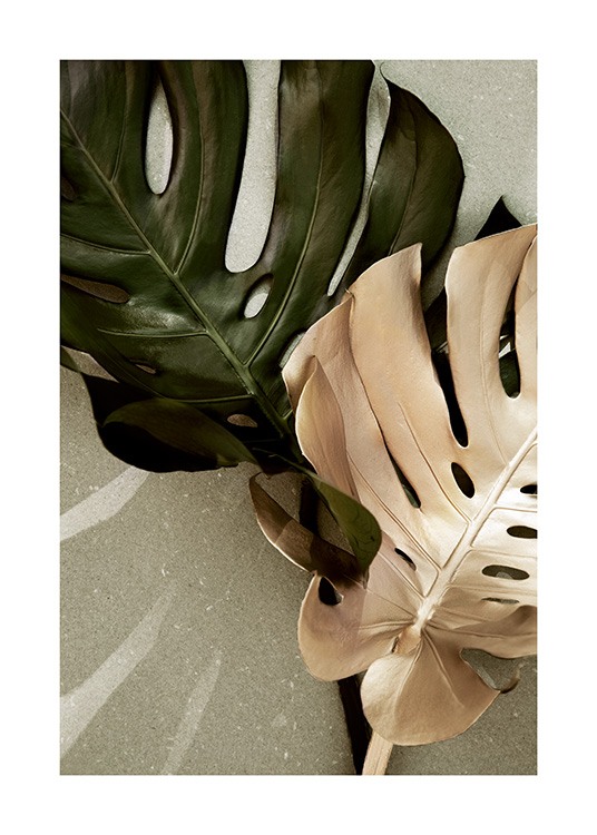  - Photograph of two monstera leaves on a stone background, one in gold and one in green
