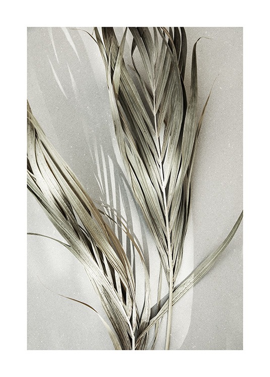  - Photograph of dry green palm leaves on a grey background