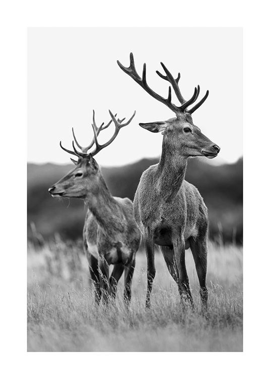 Deer Friends Poster / Animals at Desenio AB (13590)