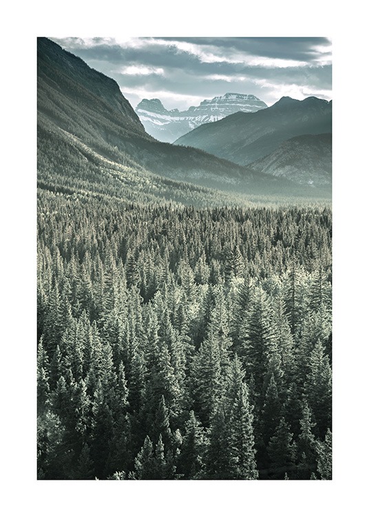 Rocky Mountains Forest Poster / Nature prints at Desenio AB (13592)