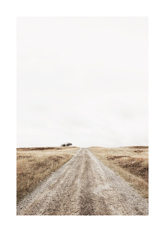 Lonely Road Poster / Landscapes at Desenio AB (13644)