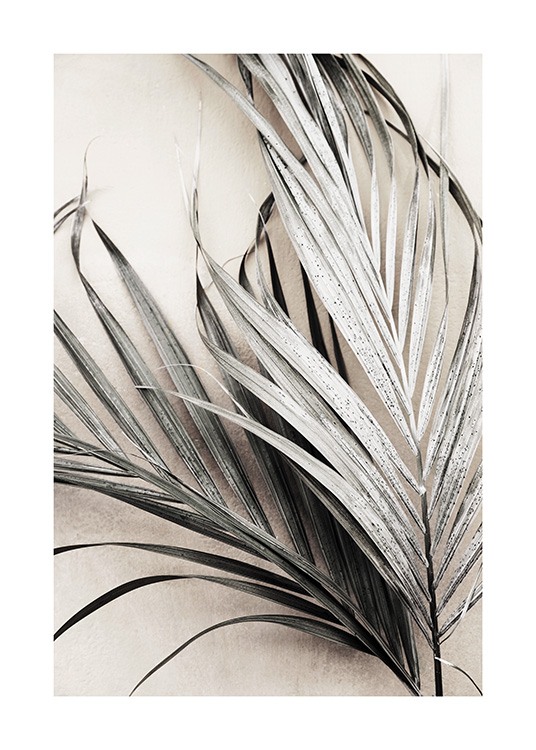 Dry Palm Leaves No3 Poster / Palms at Desenio AB (13672)