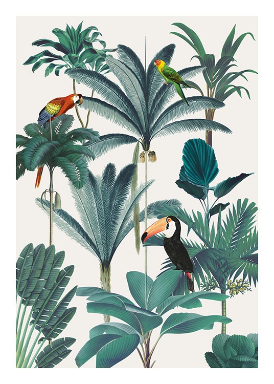 Royal Botanical Birds Poster / Birds at Desenio AB (13736)