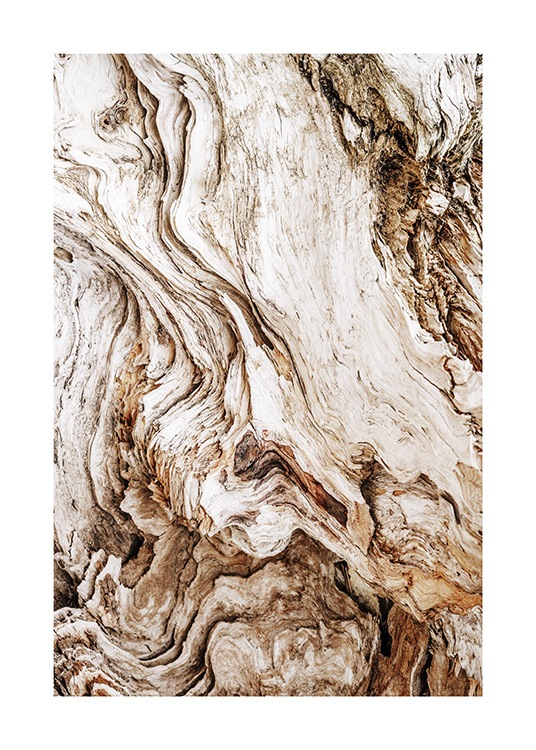 Driftwood Poster / Photographs at Desenio AB (13831)
