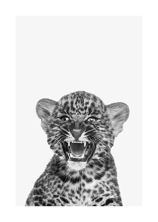 Baby Leopard Poster / Animals at Desenio AB (13858)
