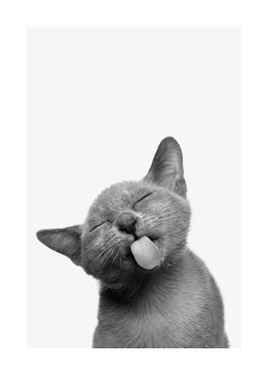 Cat Tongue Poster / Animals at Desenio AB (13861)